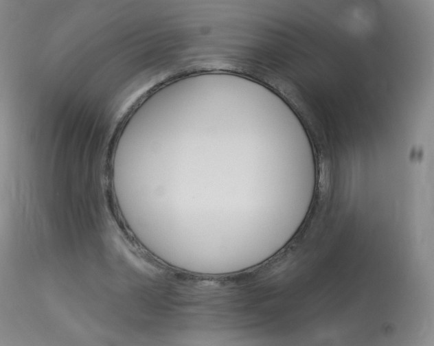 X0000114130390200910081007