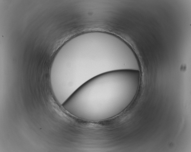 X0000114130393200910081007