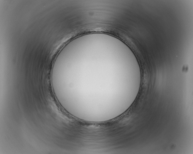 X0000114130394200910081007