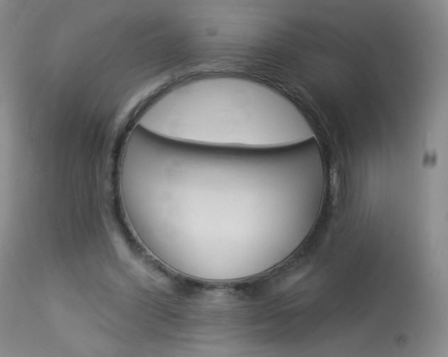 X0000114130396200910081007