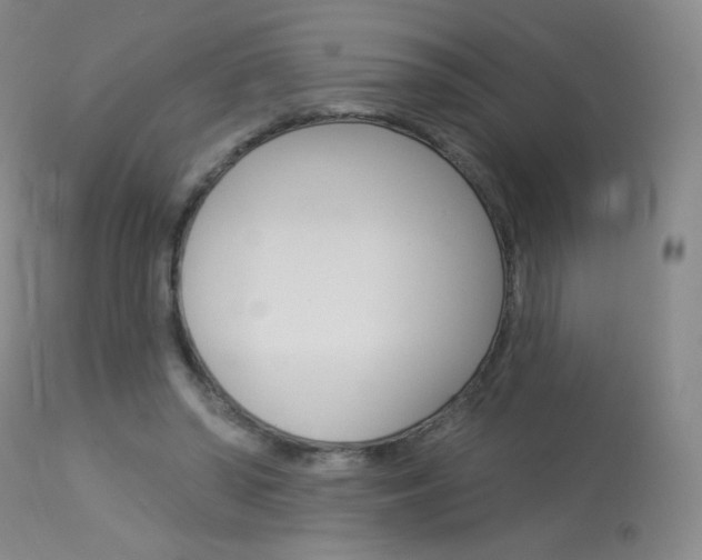 X0000114130398200910081007
