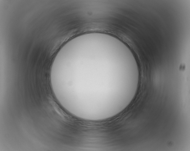 X0000114130401200910081007