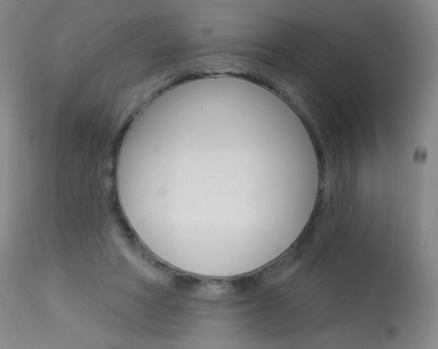 X0000114130402200910081007