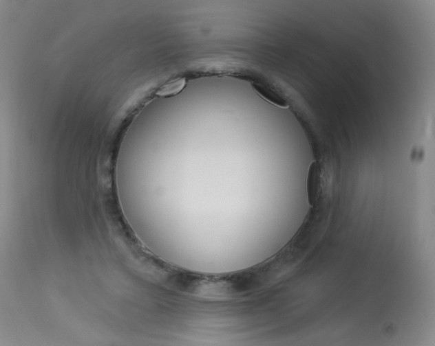 X0000114130403200910081007