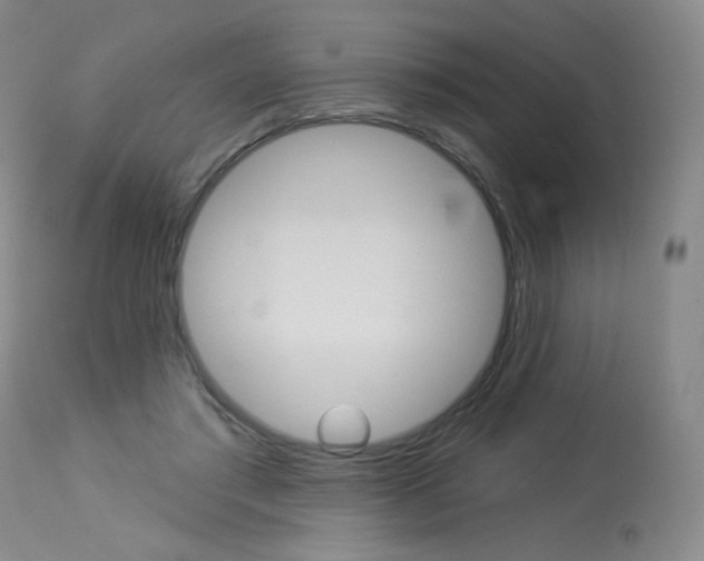 X0000114130405200910081007