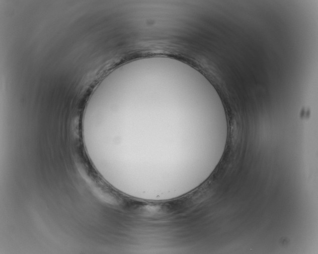 X0000114130406200910081007