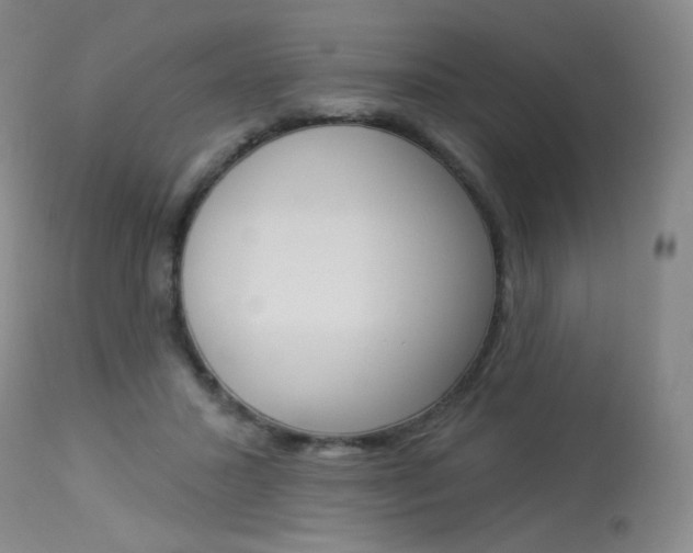 X0000114130407200910081007