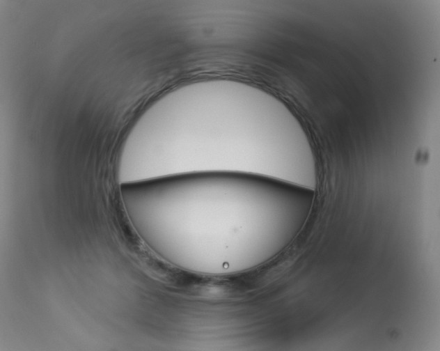 X0000114130412200910081007