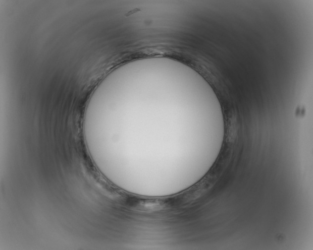 X0000114130414200910081007