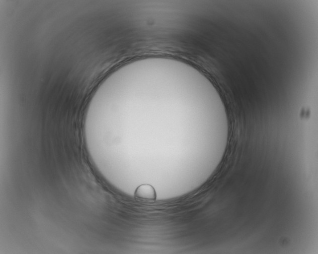 X0000114130415200910081007