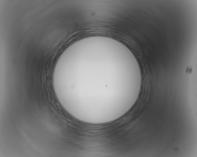 X0000114130421200910081007