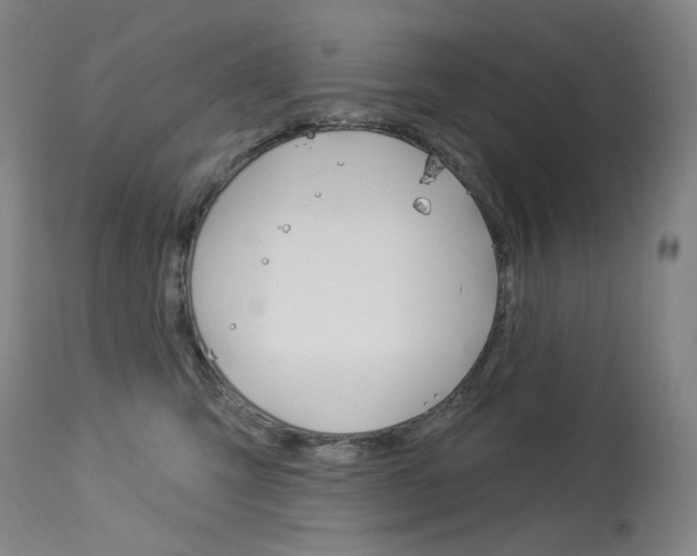 X0000114130423200910081007