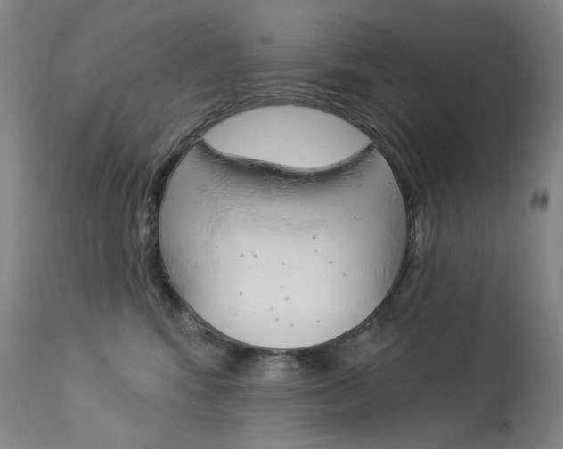 X0000114130424200910081007