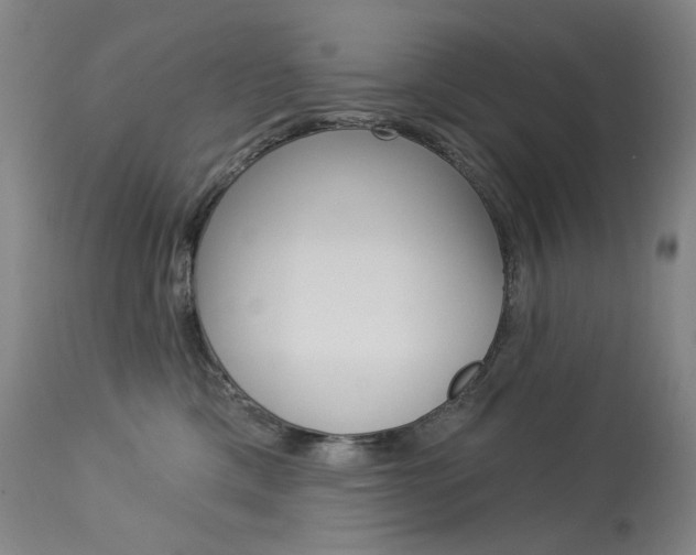 X0000114130425200910081007