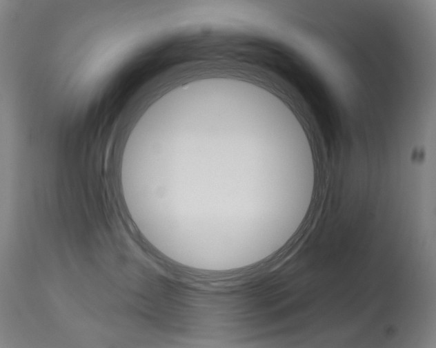 X0000114130431200910081007