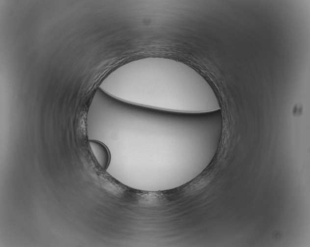 X0000114130432200910081007