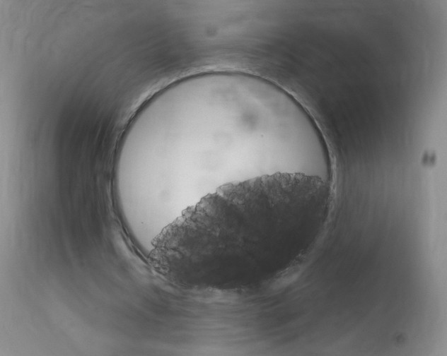 X0000114130434200910081006