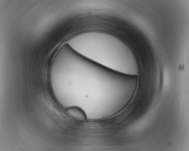X0000114130435200910081006
