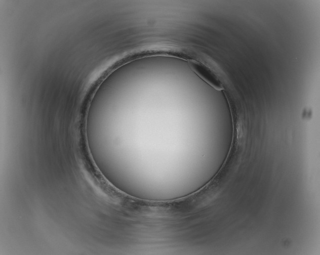 X0000114130436200910081006
