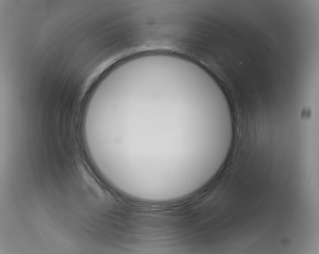 X0000114130440200910081006