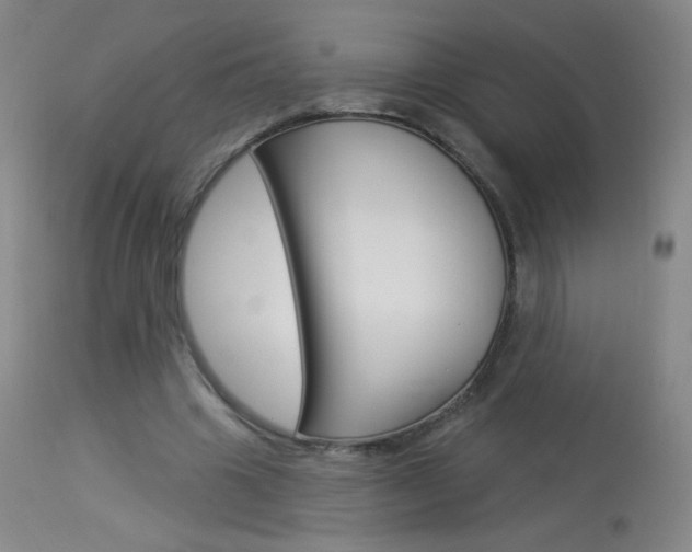 X0000114130441200910081006