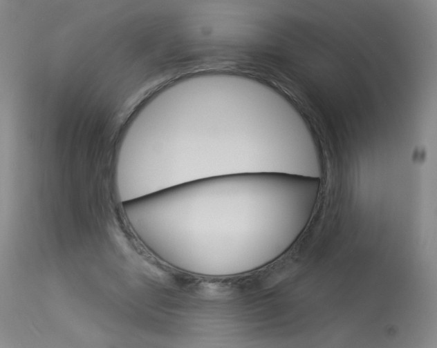 X0000114130442200910081006