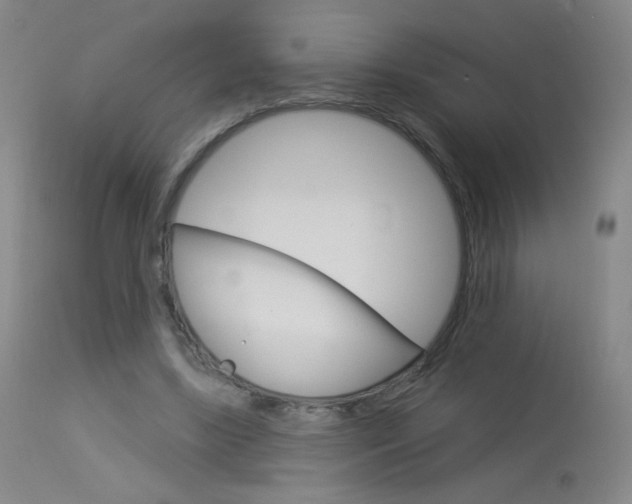 X0000114130443200910081006