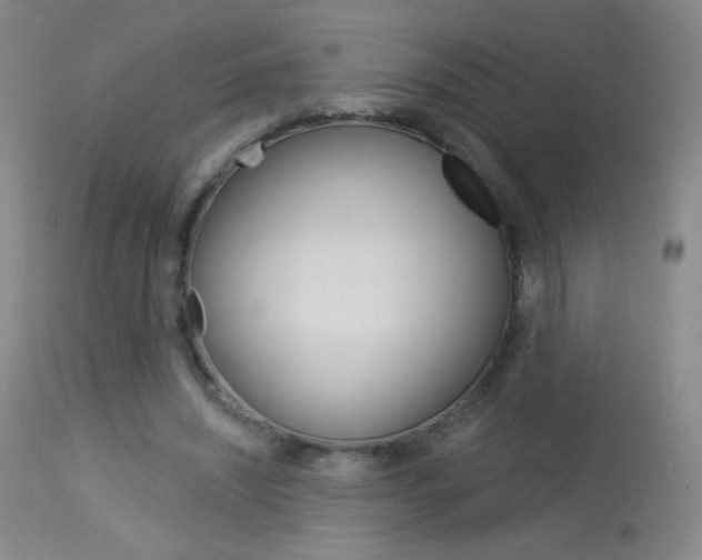 X0000114130444200910081006