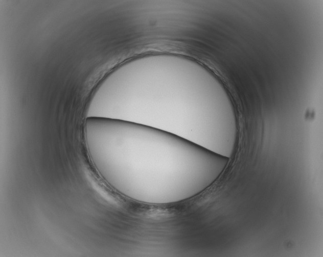 X0000114130445200910081006