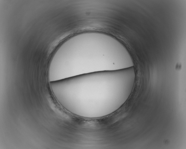 X0000114130446200910081006