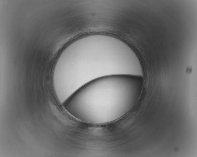 X0000114130448200910081006