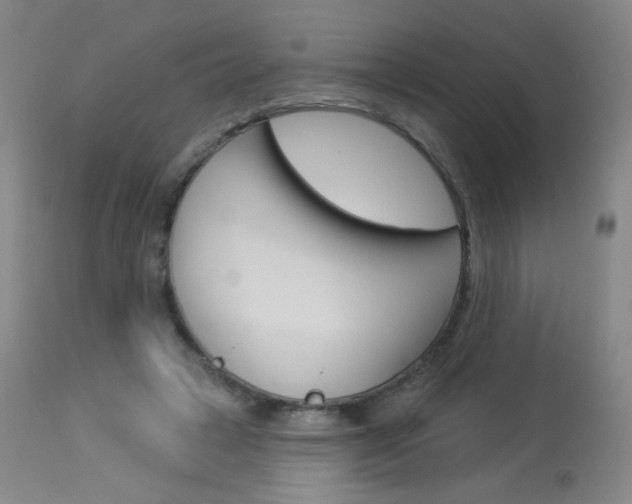 X0000114130449200910081006