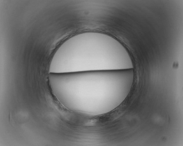 X0000114130450200910081006