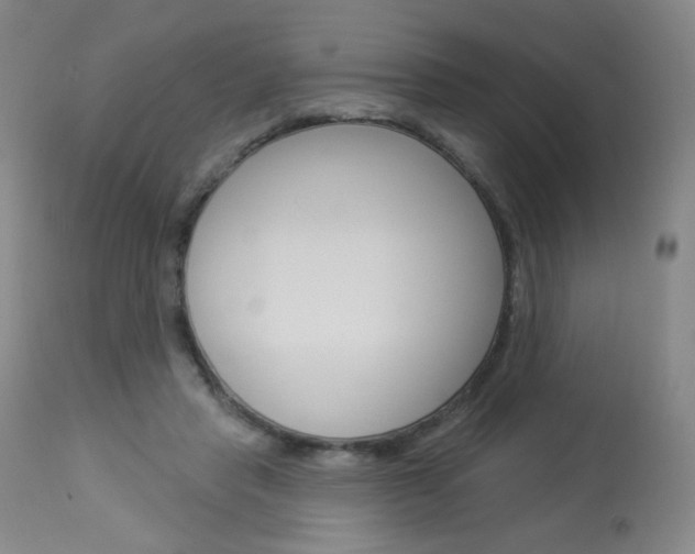 X0000114130453200910081006