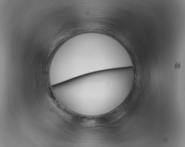 X0000114130454200910081006