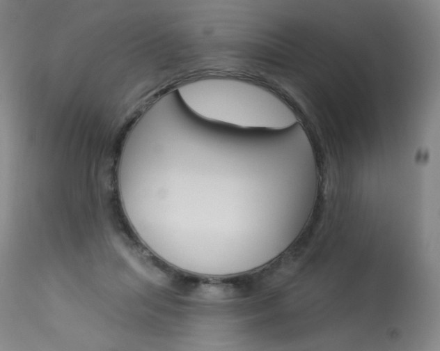 X0000114130455200910081006