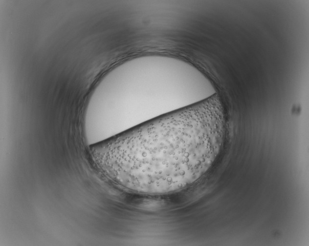 X0000114130458200910081006