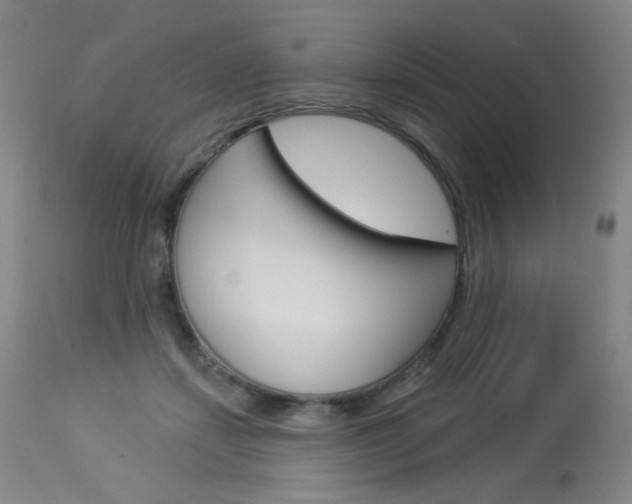 X0000114130459200910081006