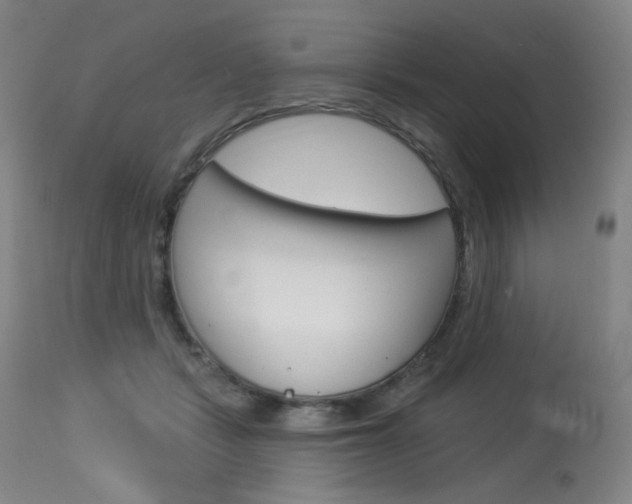 X0000114130461200910081006
