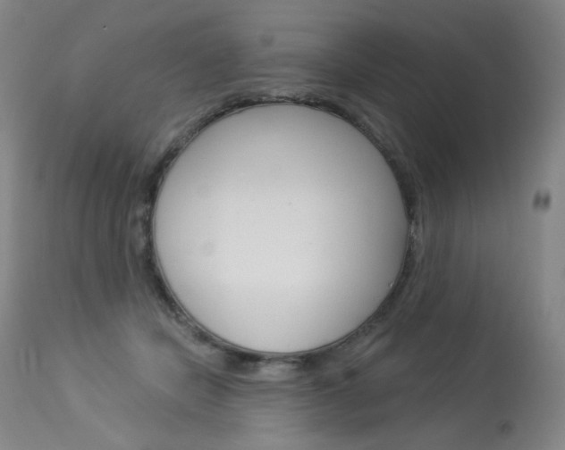 X0000114130462200910081006
