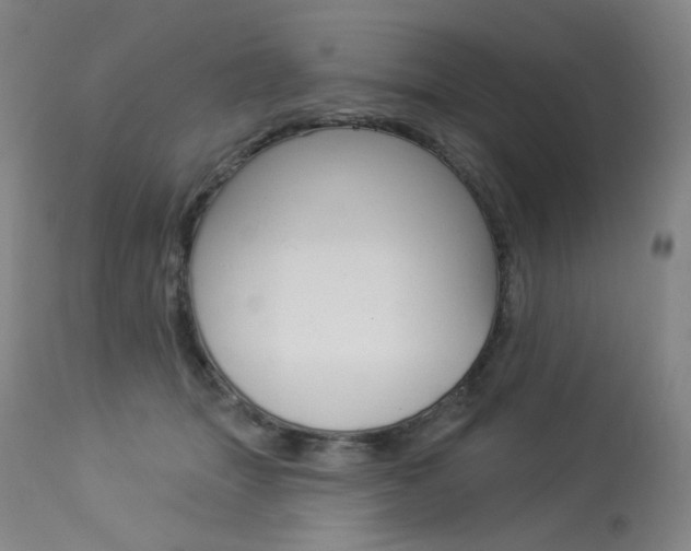 X0000114130463200910081006