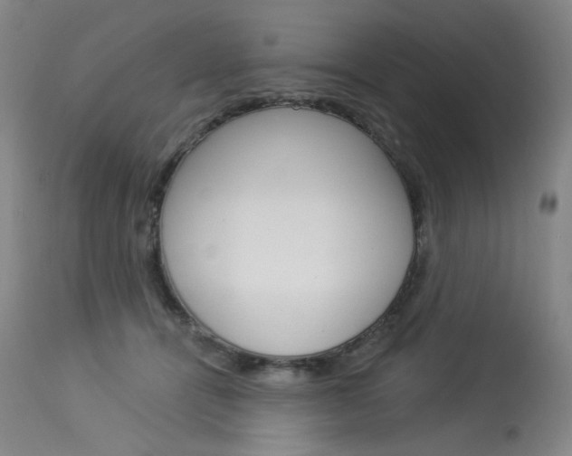 X0000114130464200910081006
