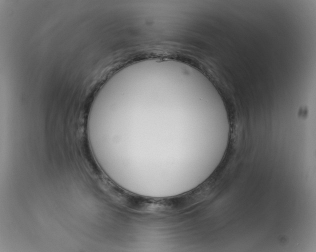 X0000114130466200910081006