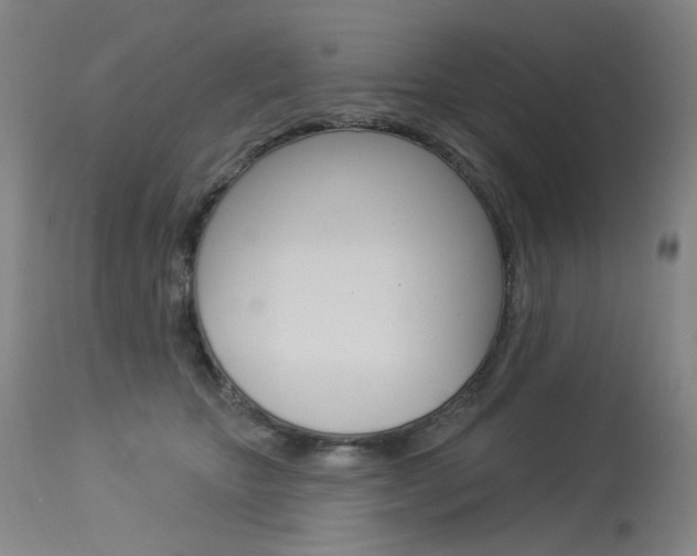 X0000114130467200910081006