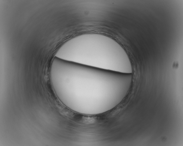 X0000114130469200910081006