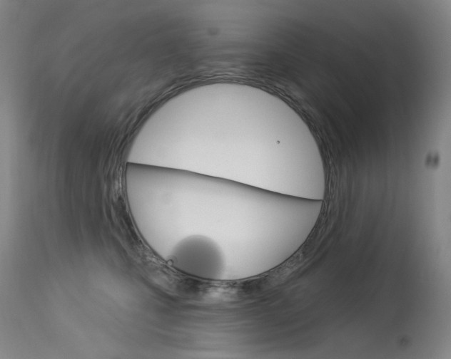 X0000114130471200910081006
