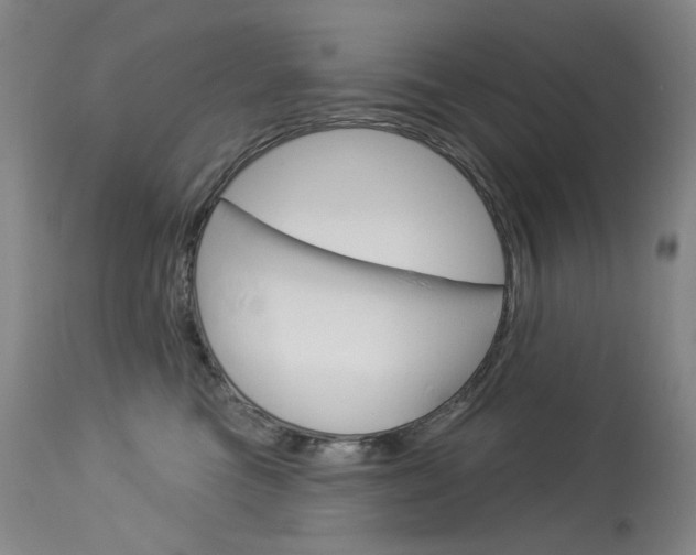 X0000114130473200910081007