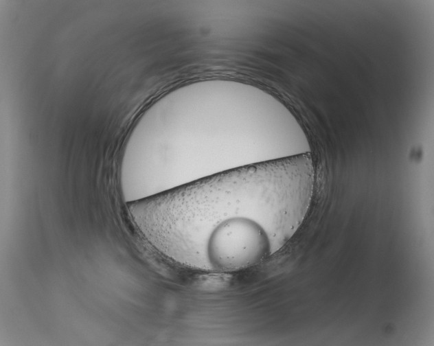 X0000114130474200910081007