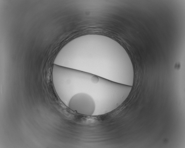 X0000114130475200910081007