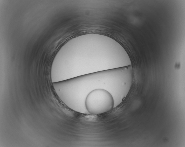 X0000114130478200910081007